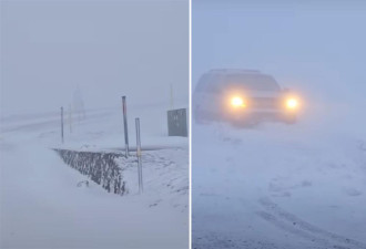 夏威夷大岛降雪！白雪覆盖地面画面曝