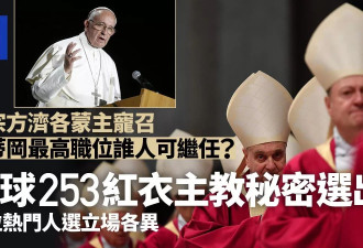 谁可继任？全球253位红衣主教秘密选出 多位热门人选