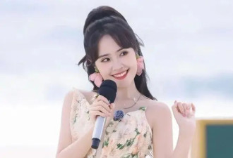 “才女”塌房，墙倒众人推