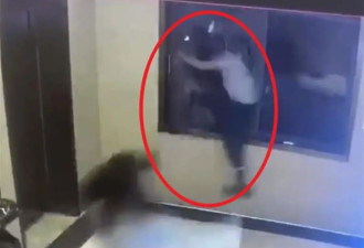 男子撞碎酒店玻璃摔出窗外,当地:事发一楼,已赔偿