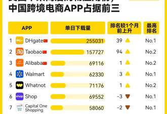 在因关税战爆火的敦煌网,美国人爱买什么中国商品