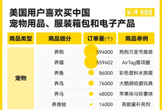 在因关税战爆火的敦煌网,美国人爱买什么中国商品