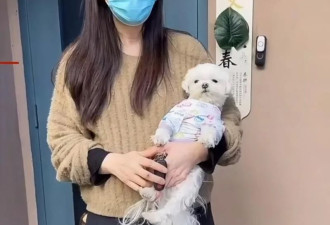 王祖贤坐镇艾灸馆 服务一次87美元预约排到4月