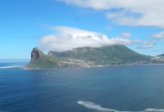 南非：开普敦，海豹岛 全球最佳观赏地/栖息地
