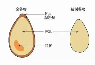 换一半主食 降低心血管病风险