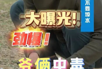 陈佩斯与儿子挖野菜!多年父子成兄弟,儿子让他...