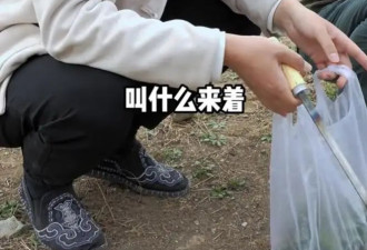 陈佩斯与儿子挖野菜!多年父子成兄弟,儿子让他...