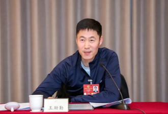 王励勤当选中国乒协主席，刘国梁主动辞职