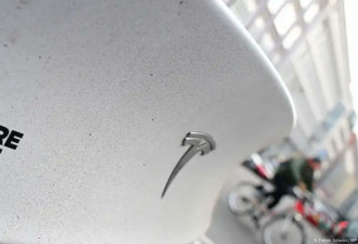 特斯拉利润暴跌 马斯克要从政府效率部大幅"抽身"