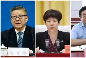 中共打虎4高官落马 罪名超罕见:搞低级红高级黑