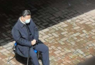 习孤坐武汉图片再传 蔡慎坤：权力面临散架