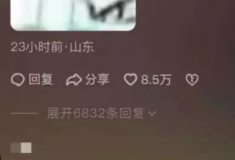 王思聪不见王健林不认,满嘴谎话的黄一鸣,人财两空