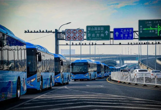 深扒董明珠口中的格力电车，不起火的真相水很深