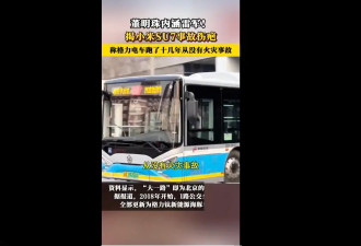 深扒董明珠口中的格力电车，不起火的真相水很深