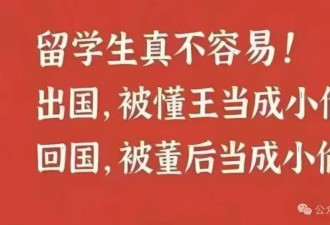 董明珠很可能是老年性昏聩