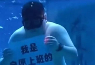 山东115KG大汉扮“胖人鱼”下水表演 真实身分曝