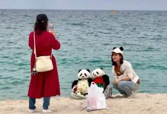 日本出生的大熊猫，为什么要送回中国...