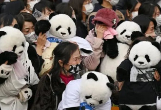 日本出生的大熊猫，为什么要送回中国...