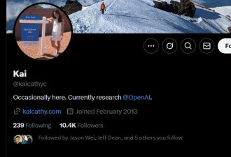 美AI圈炸锅：OpenAI华裔王牌研究员绿卡被拒