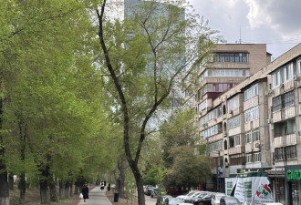 在哈萨克斯坦：中国人，卷不动全世界