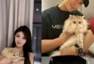 叶珂生女曝光，一场“不能输给杨颖”的隐形较量？