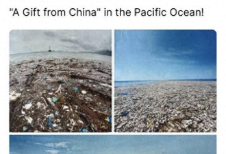 川普这样“甩锅”中国 惨被抓包
