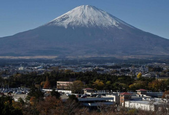 中国4男毒害23棵树木 只因富士山美景被挡