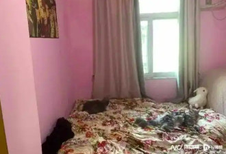 深圳33岁男为亡妻殉情 原定今年办婚礼 岳母：想不到他这么深情