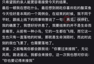 深圳33岁男为亡妻殉情 原定今年办婚礼 岳母：想不到他这么深情