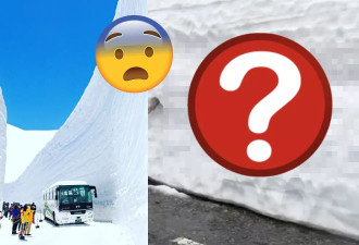 日本雪墙上发现这“6个中文大字” 台网民：超级丢脸