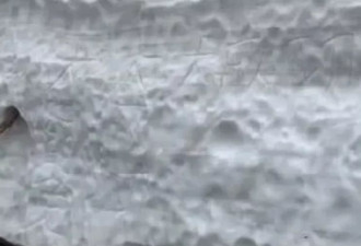 日本雪墙上发现这“6个中文大字” 台网民：超级丢脸
