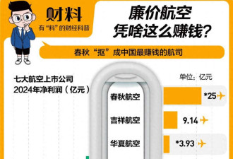 “空中绿皮车”竟“抠”成中国最赚钱航司
