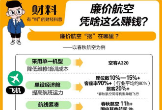 “空中绿皮车”竟“抠”成中国最赚钱航司