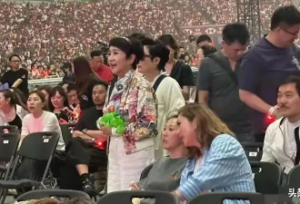 Lucas现身谢霆锋演唱会，长相帅气，女伴似李嫣，弟弟害羞