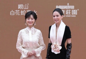 华表奖红毯女明星生图：景甜关晓彤造型翻车，章子怡蒋勤勤气质好3