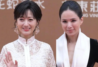 华表奖红毯女明星生图：景甜关晓彤造型翻车，章子怡蒋勤勤气质好3
