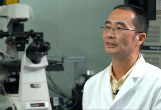 南开人工智能学院院长：AI未来会变成通识类课程