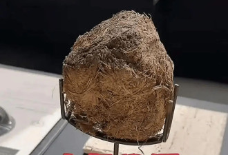 3888元一口大象屎，这届中产被精致菜掏空