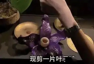 3888元一口大象屎，这届中产被精致菜掏空