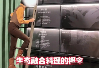 3888元一口大象屎，这届中产被精致菜掏空