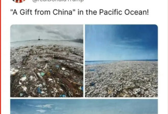 这个大乌龙，美国应该向中国郑重道歉