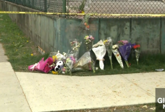 温哥华街头11人死亡惨案：嫌犯疑有精神问题，其弟弟去年被杀