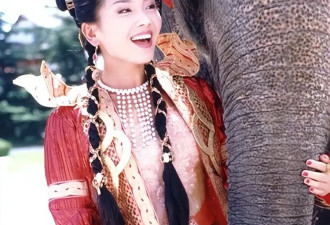 “国民贤妻”刘涛刚出道美图！昔日淳朴如今变得风情美艳