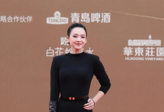 梅婷低胸、秦海璐镂空礼服齐走红毯，章子怡黑裙霸气侧漏，华表红毯还得看大花们！