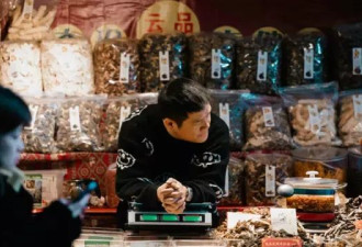 BBC：每个人都应该获得全民基本收入吗？
