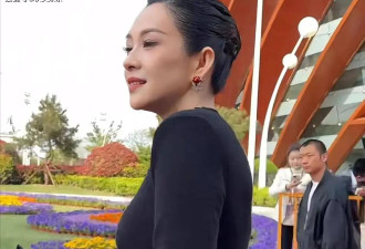 章子怡摔倒受伤后续,坐轮椅出行,经纪人紧急回应