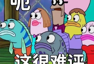 日世博会“顶流”竟是印度馆？工地现场成人气打卡地