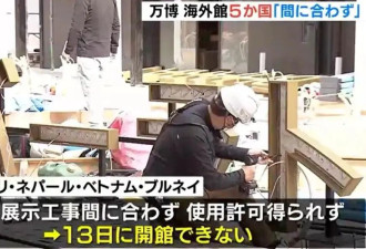 日世博会“顶流”竟是印度馆？工地现场成人气打卡地