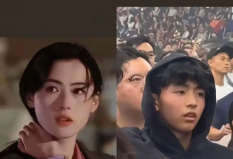 长兄如父家教严！谢霆锋大儿子表情严肃劝二弟 吃饭别玩手机