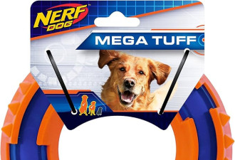 Nerf Dog 2-Tone Spike环